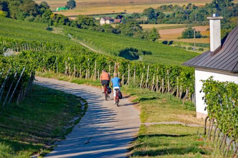 Cyclists on the cycle path near Mühlheim