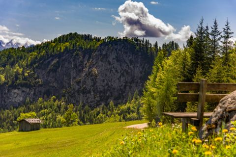 Ausblick auf die Berge vom Salzburger Saalachtal