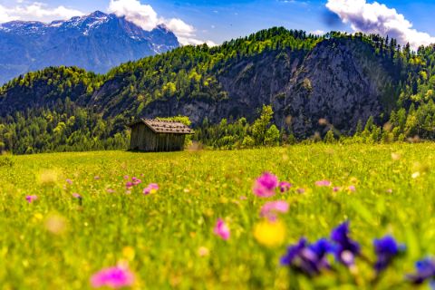 Wunderschöne Landschaft im Salzburger Land
