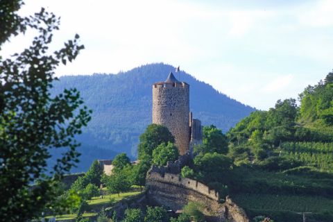 View of the castle in Kaysersberg