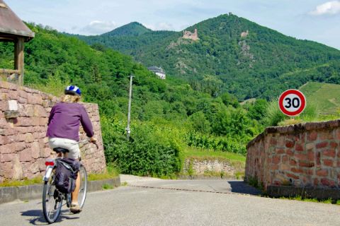 Cyclist between the hills near Obernai