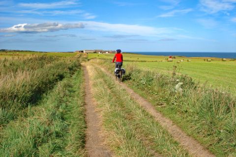 Cycle path along a field with sea view