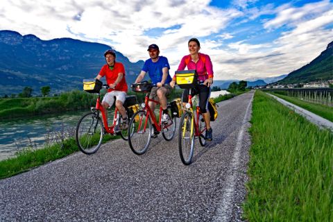 Cyclist on the Adige
