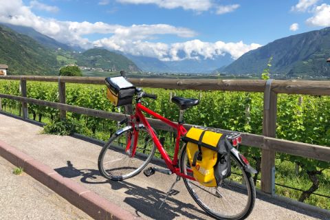 Bike and wine in Bolzano