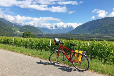 Bike in front of Wine by Bolzano