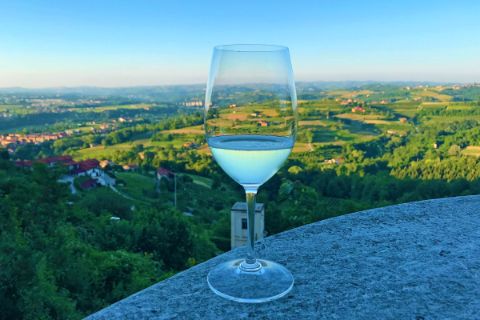 Wine glass in beautiful Piedmont