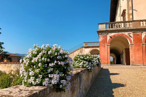 Die Villa Medici