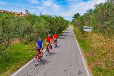 Radfahrer auf dem Weg nach San Gimignano