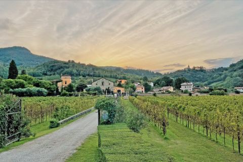 Weingut Torreglia Euganeische Hügel