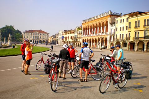 Group of cyclists in Padova