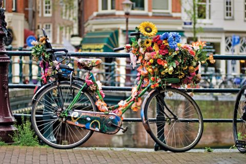 Bicycle decorated with flowers in Amsterdam