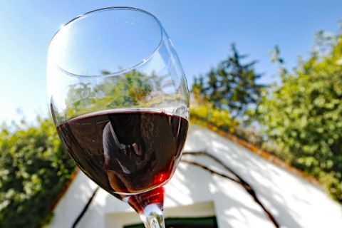 Glas Rotwein vor blauem Himmel und Bäumen