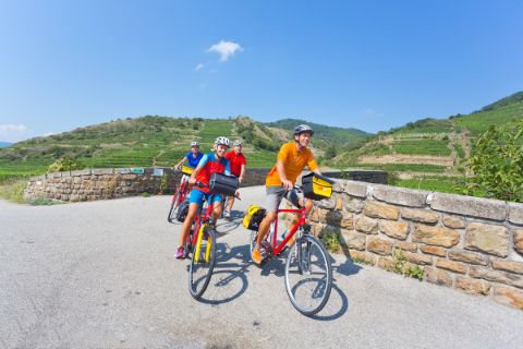 Cyclists in the region Wachau