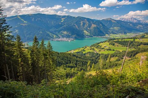 View over the woods to Lake Zellersee