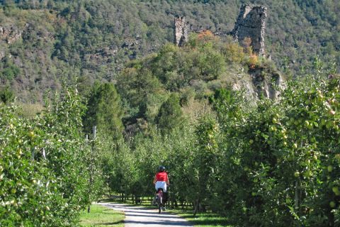 Cyclist in front of a ruin