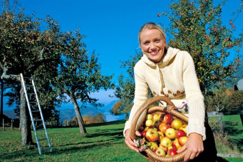 Woman with basket full of apples