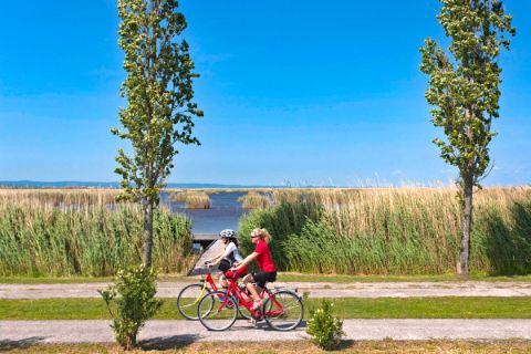 Cyclists on the bank of Lake Neusiedl