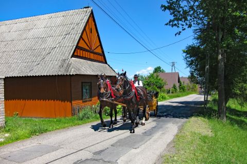 Carriage on Dunajec bike path