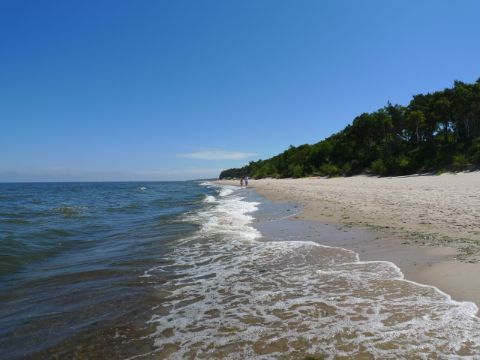 Baltic Sea coast beach