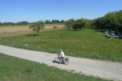 Cyclist on cycle path along the Vistula