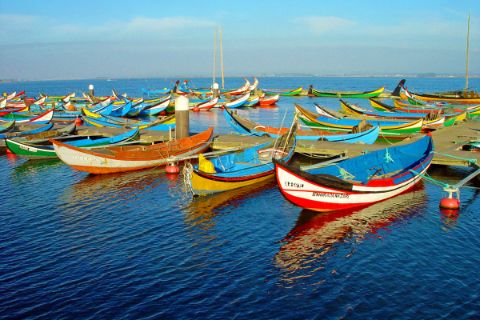 Colourful fishing boats in Aveiro harbour