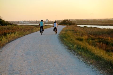 Cyclists on a cycle path at sunset in Portugal