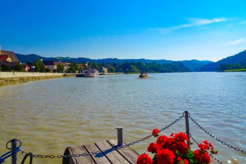 Steg mit Blumen an der Donau