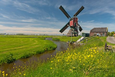 Windmills in South Holland