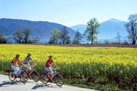 Cycling group at Lake Lucerne