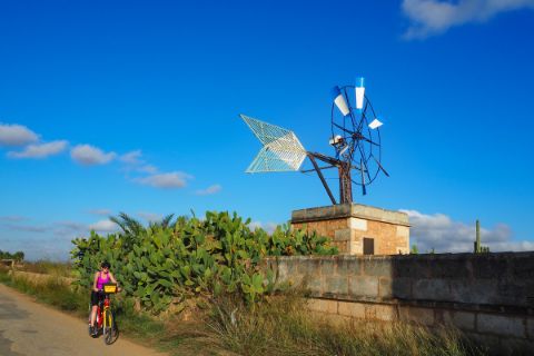 Radfahrerin am Radweg neben typischer Windmühle