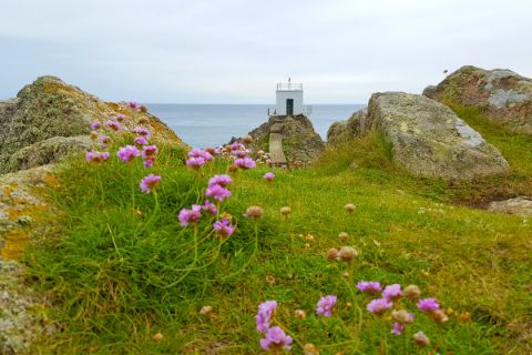 Blumenwiesen und Aussichtspunkt beim Wandern in Saint Peter Port