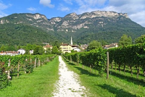 Wandern auf der Südtiroler Weinstraße Richtung Kaltern