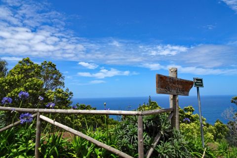 Wanderwege durch die blühende Vegetation Madeiras