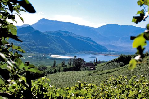 Wanderwege mit Blick auf Weingärten