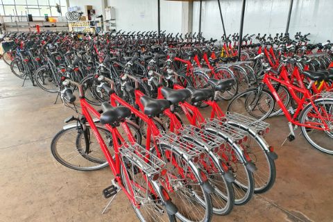 Our red Eurobike rental bikes