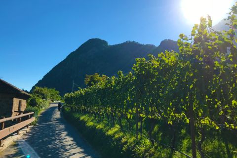 Genussvolle Wanderung entlang von Weinreben mit Blick auf die südtiroler Berge