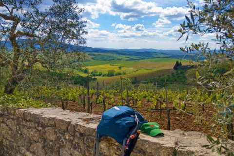Kurze Rast an einer Steinmauer mit Blick auf die Weinfelder