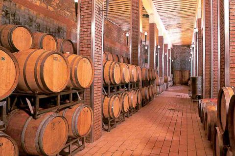 Besuch eines Weinkellers beim Wandern in Istrien