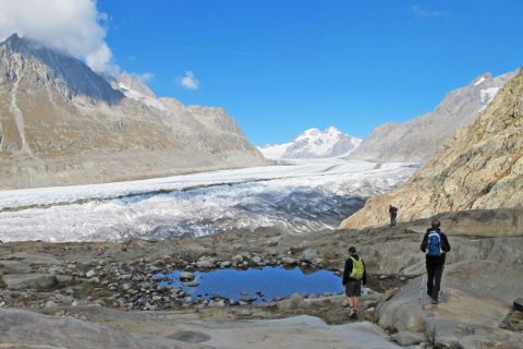 Hikers in front of the Aletsch Glacier