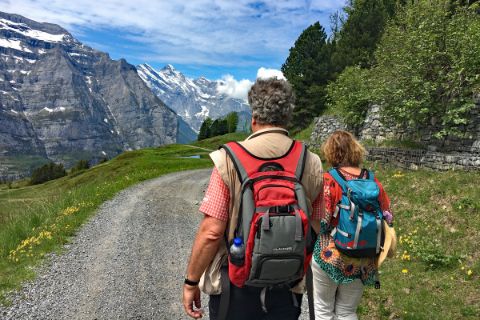 Hiking with view to the Jungfrau