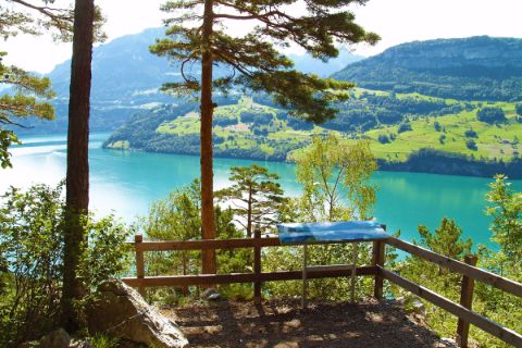 Hiking view at Lake Lucerne