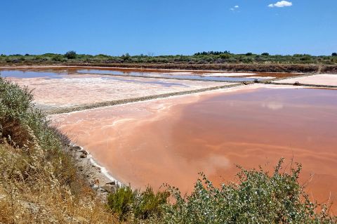 Salt basin in the Algarve