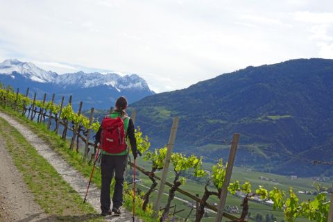 Hiking through the beautiful vineyards in Italy