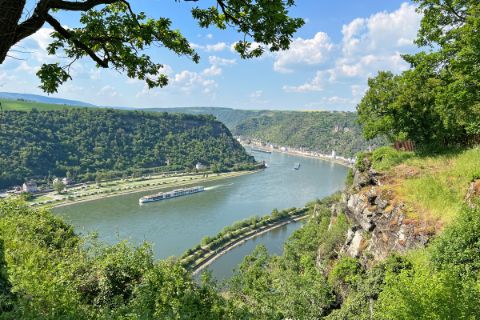 Rhine view