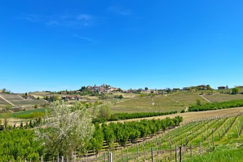 Ausblick auf kleines Dorf mit Weinreben und blauem Himmel