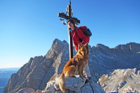 Summit experience while walking with your dog