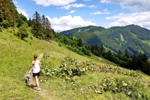 Hiking with a dog in the Salzkammergut region