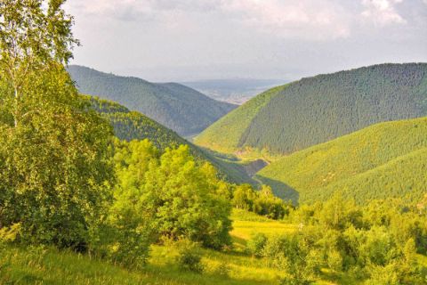 Green countryside in Transylvania