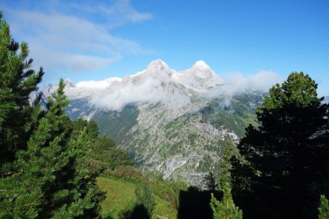 Ausblick auf die Alpspitze und Hochblassen