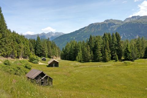 Pitztal meadow path with alpine huts, forest and view